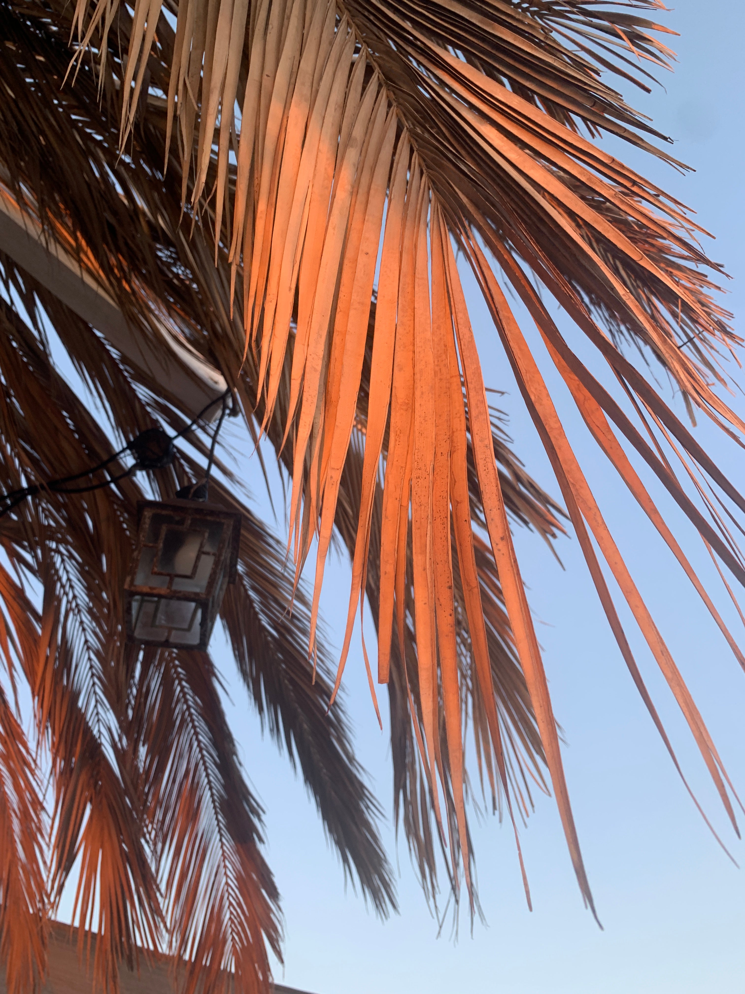 JEANNE_SIMONE_slide_summer_2025.jpg
