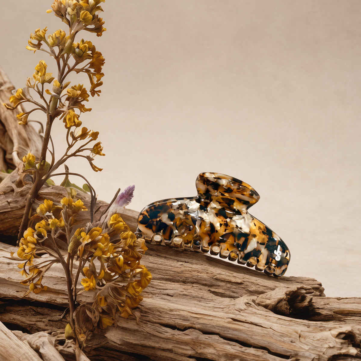 L'iconique Immortelle