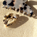 Coup de coeur Fossile