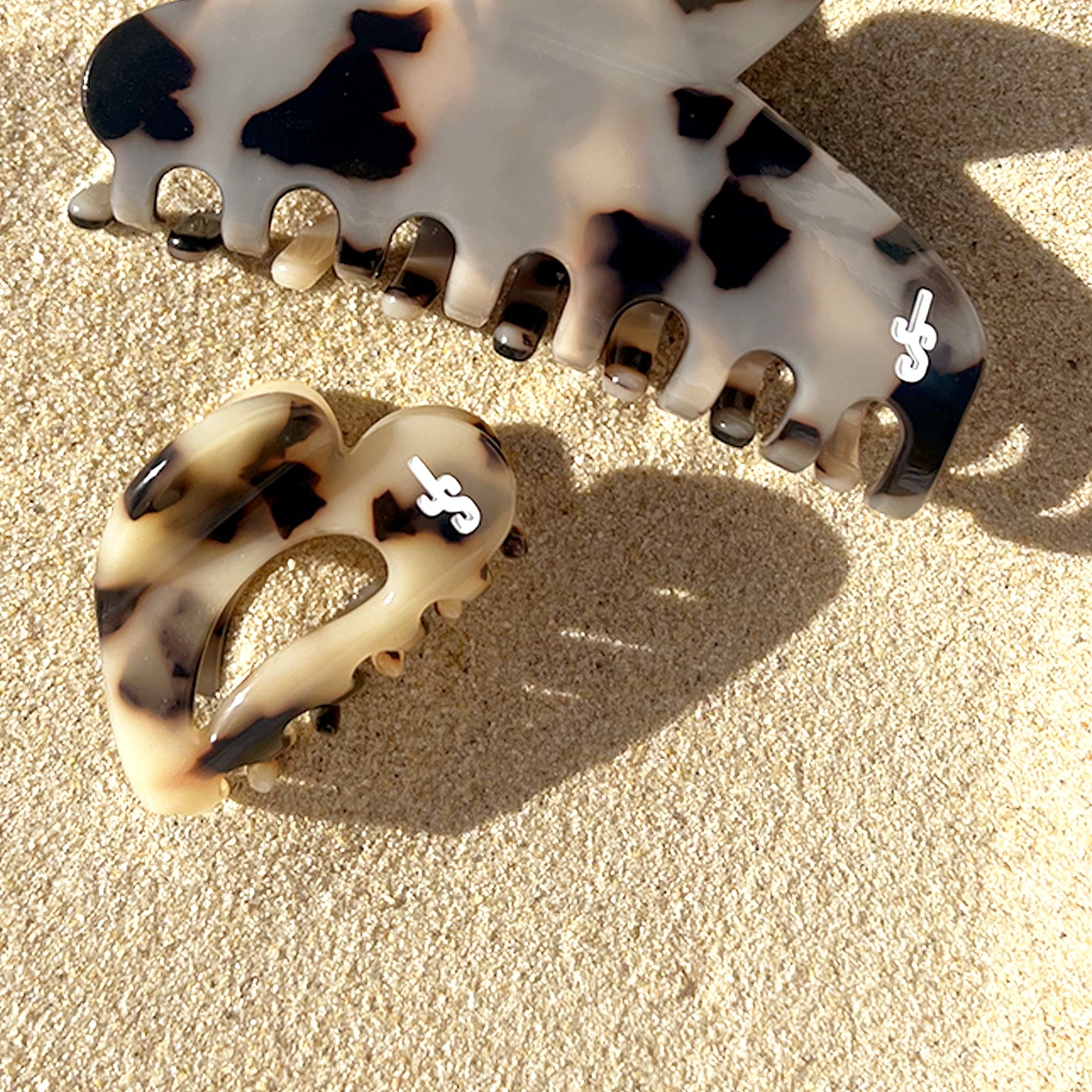 Coup de coeur Fossile