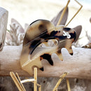Coup de coeur Fossile