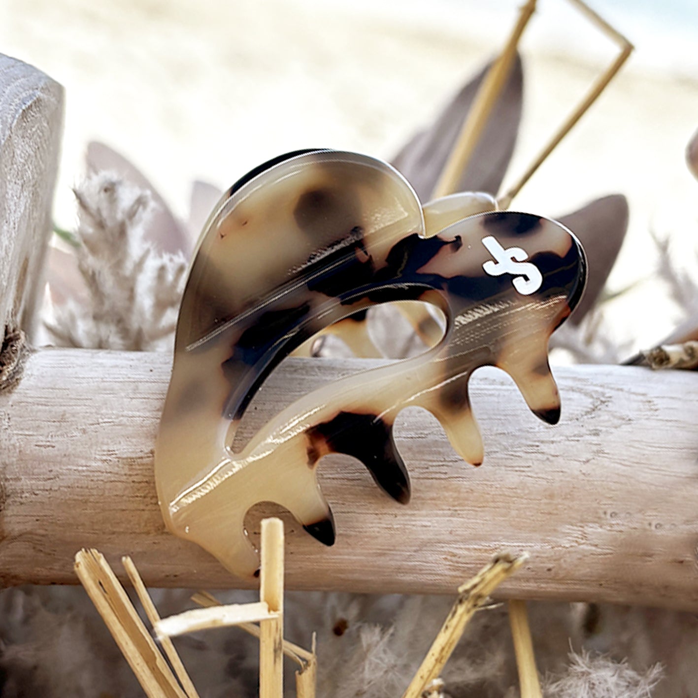 Coup de coeur Fossile